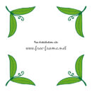 緑色の葉っぱのイラストのコーナーフレーム・枠